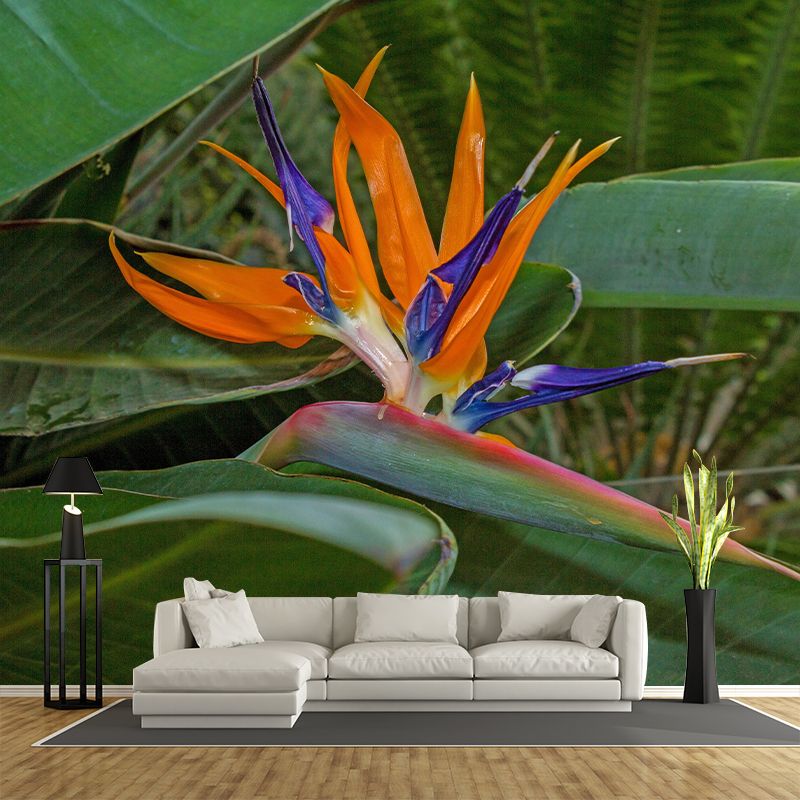 Bird of Paradise Flower Mural Wall Covering Decorative Mildew Resistant for Living Room