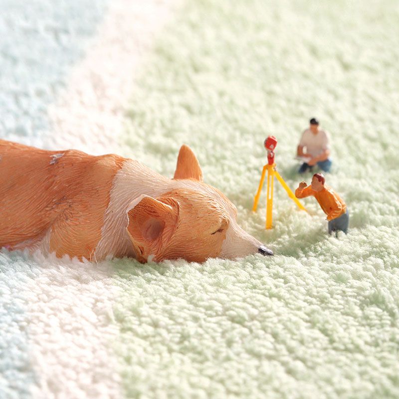 Black Modern Carpet Polyester Graphic Carpet Stain Resistant Carpet for Living Room