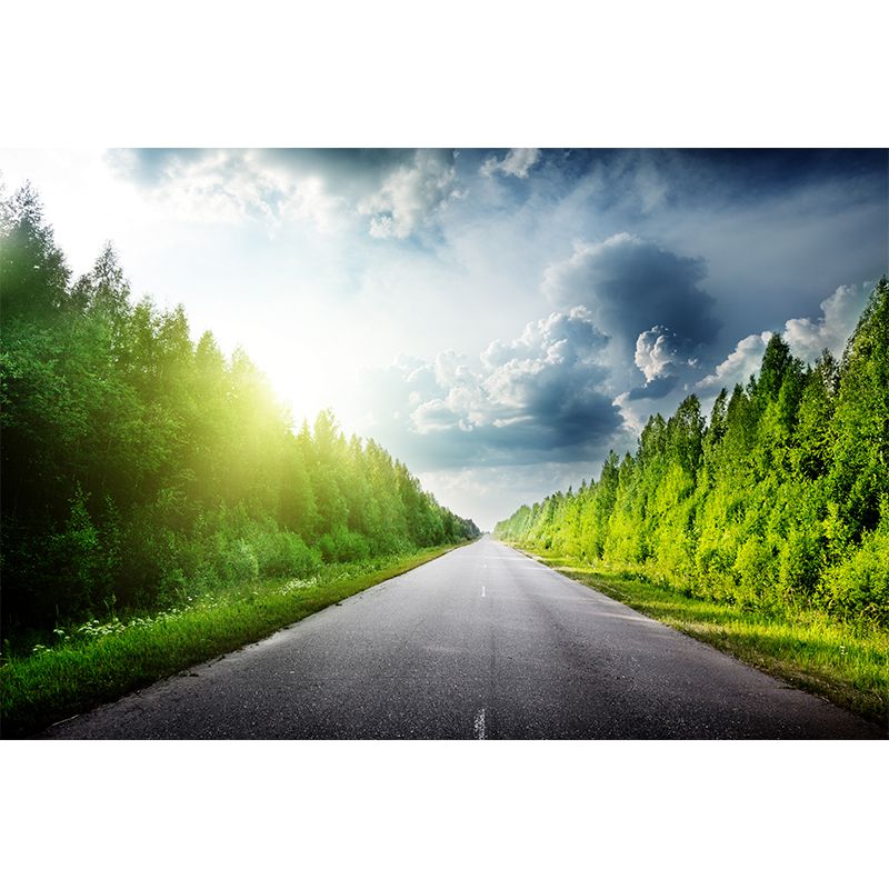 Road and Botanical Wall Mural Modern Decorative Living Room Wall Covering, Personalise