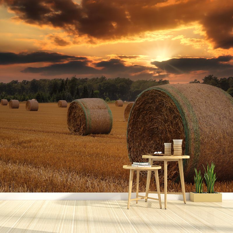 Customized Straw Bale Mural Photography Horizontal for Sleeping Room Bedroom