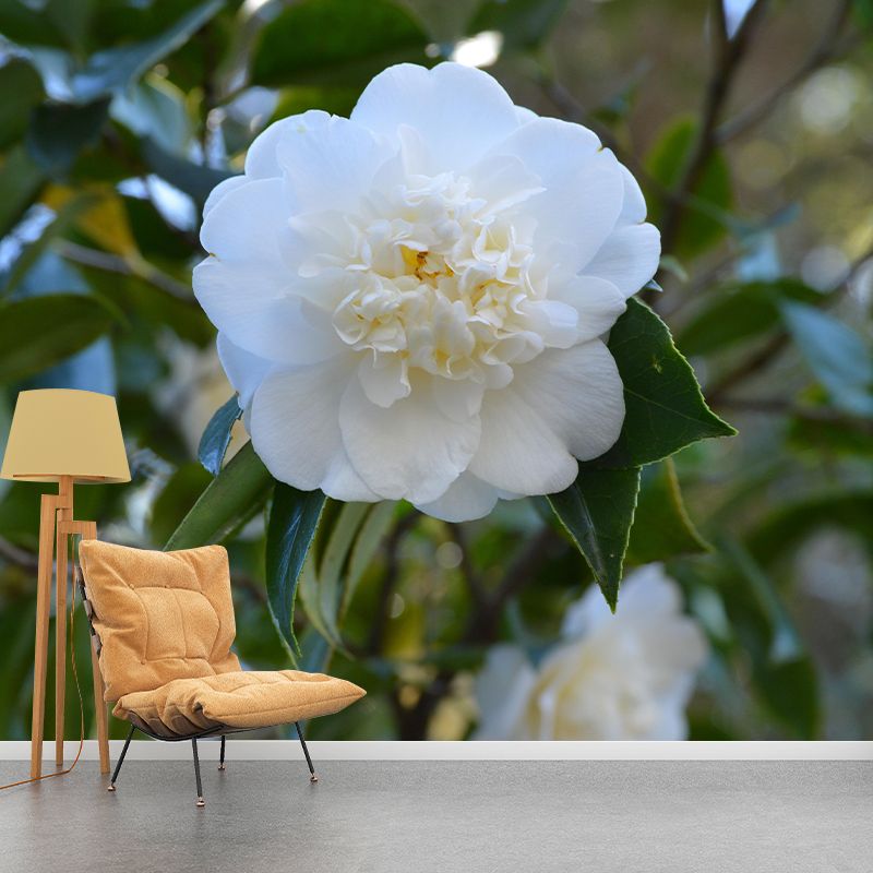 Contemporary Blooming Camellia Mural Wallpaper Environmental for Bedroom
