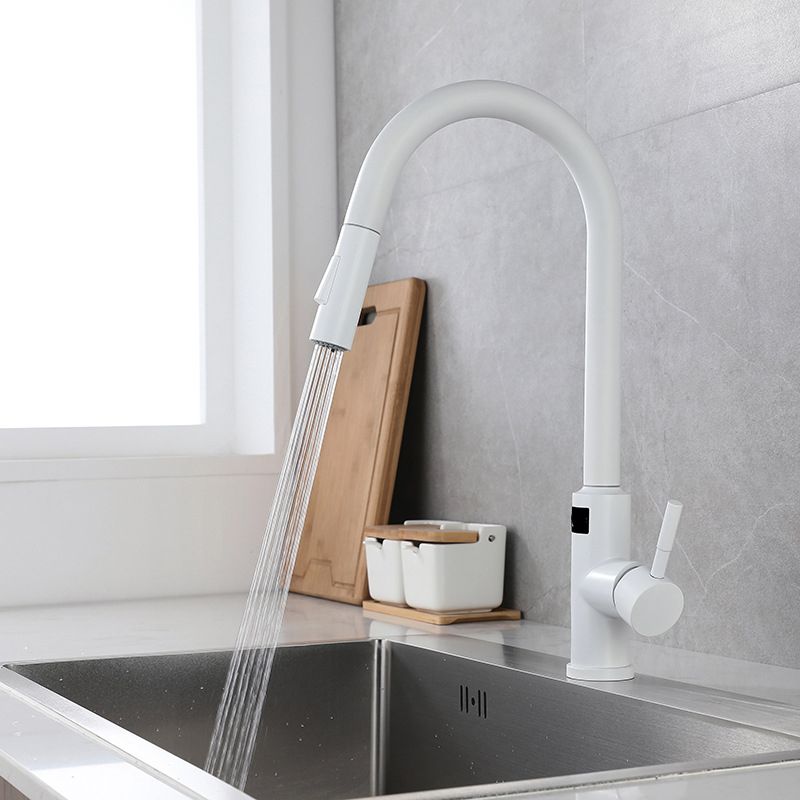 Modern Style Kitchen Faucet Stainless Steel Single Handle Retractable Kitchen Faucet