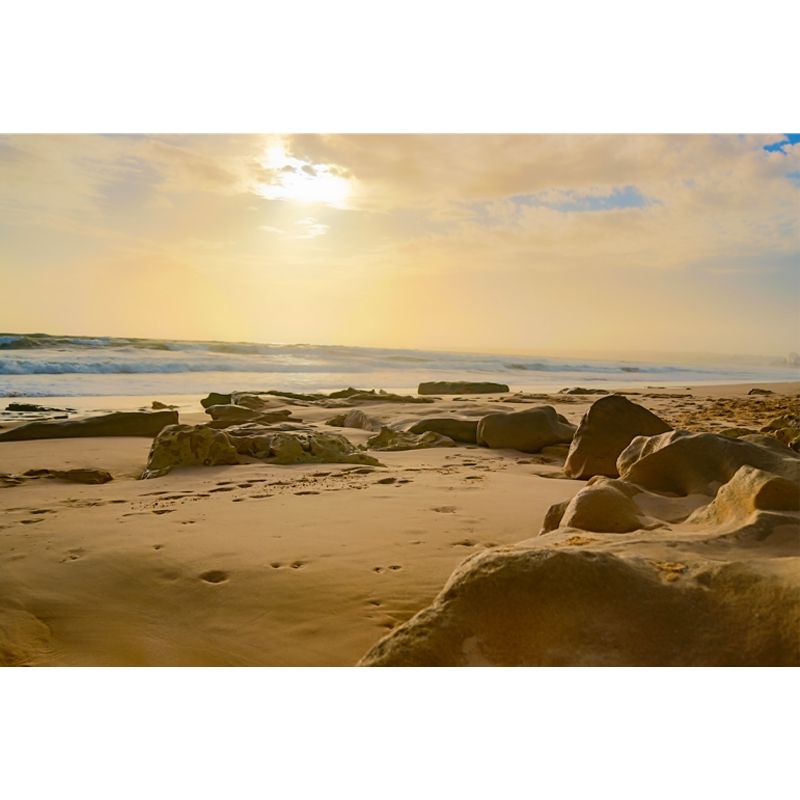 Sandy Beach Mural Decal for Home Custom Wall Covering Living Room, Customized Size