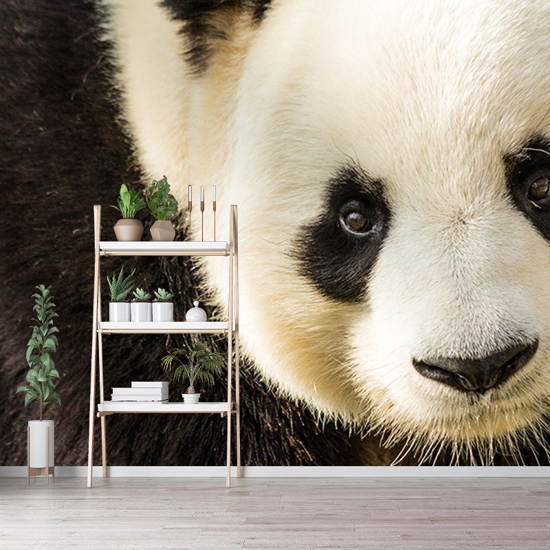 Cute Panda Mural Wallpaper Living Room Decoration, Personalized Size Available