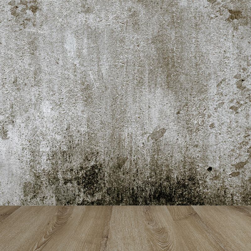 Photography Brickwork Wall Mural Decal for House Interior, Dark Color, Custom Print