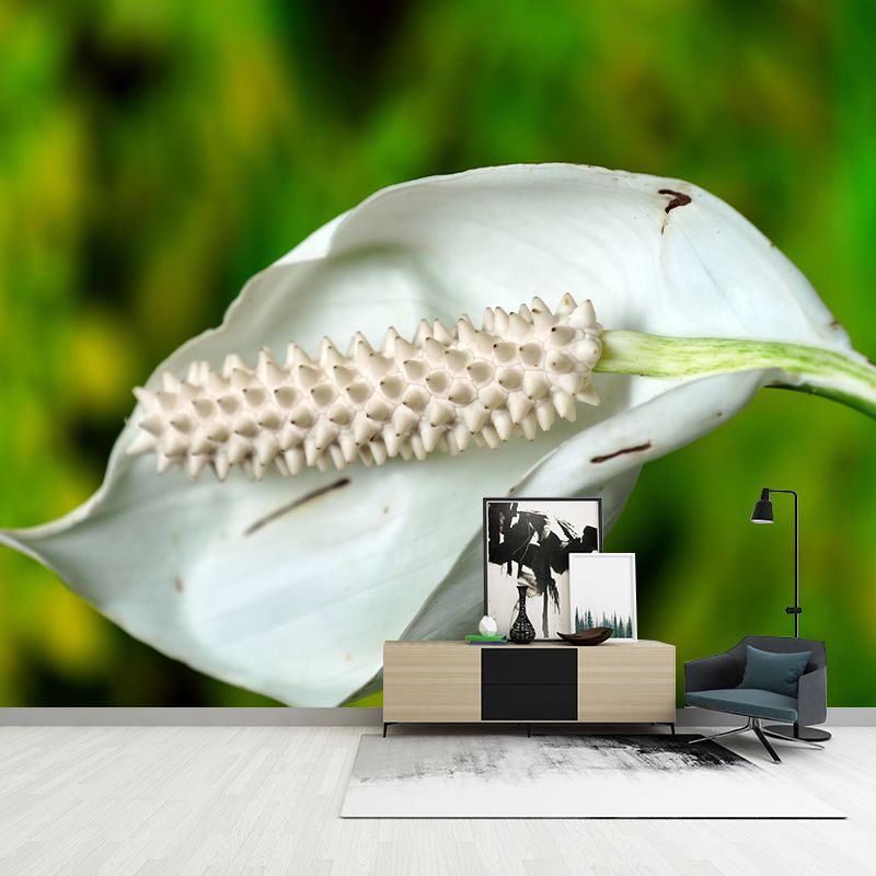 Blooming Anthurium Mural Wallpaper Environmental Contemporary for Bedroom