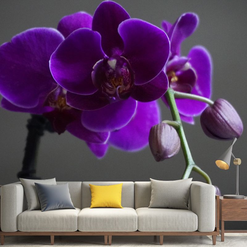 Orchid Mural Wallpaper Modernism Wall Art for Home, Personalized Size Available