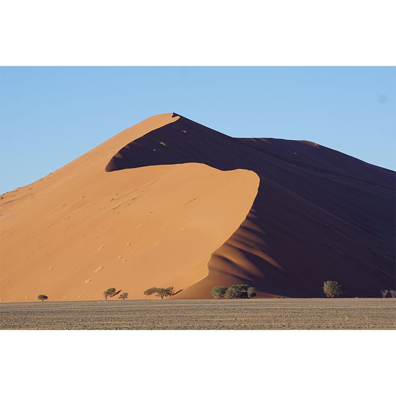 Modern Huge Desert Mural Environment Friendly Wallpaper for Sitting Room