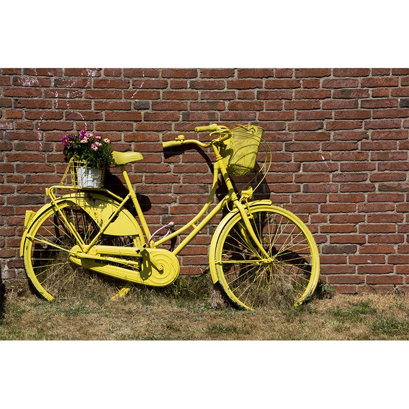 Bicycle Mural Wallpaper Stain-Resistant Bedroom Decorative Wall Covering, Custom-Made