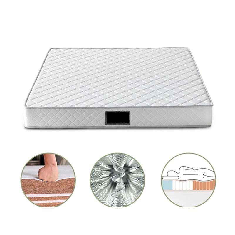 Contemporary Standard Bed with Rectangle Upholstered Headboard in White