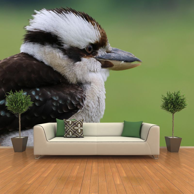 Horizontal Photography Kookaburra Wall Mural Decorative Mildew Resistant for Living Room