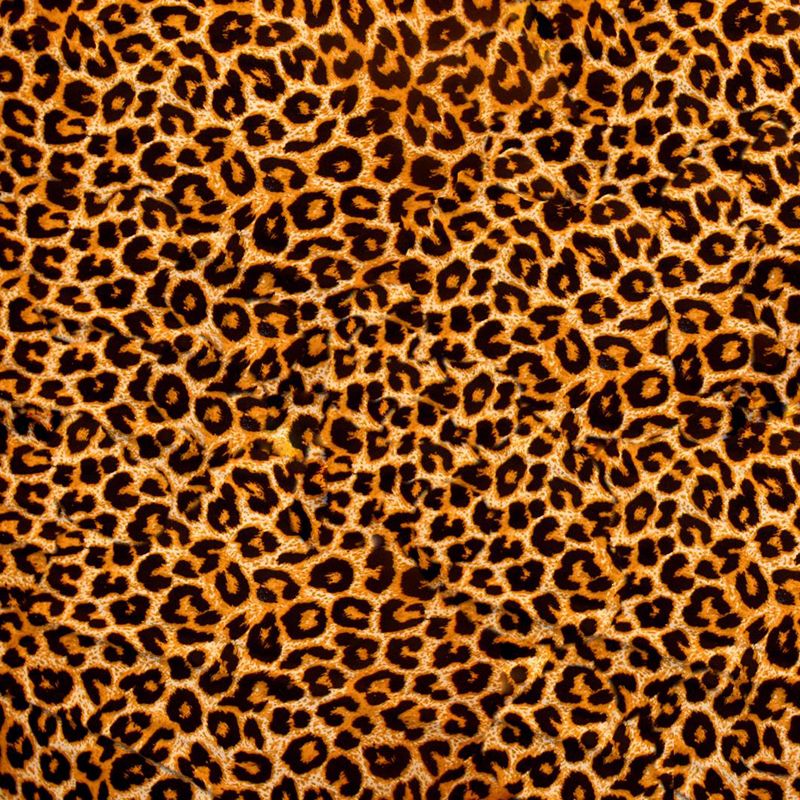 Full Size Photography Modern Mural Wallpaper with Animal Skin Pattern in Light Color