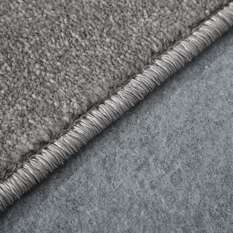Brown Area Carpet Pure Color Polyester Area Rug Easy Care Washable Rug for Living Room