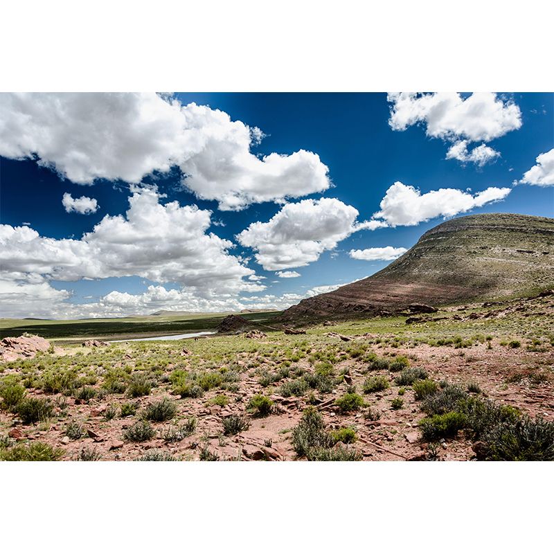 Contemporary Sky Landscapes Mural Environment Friendly Wall Art for Home