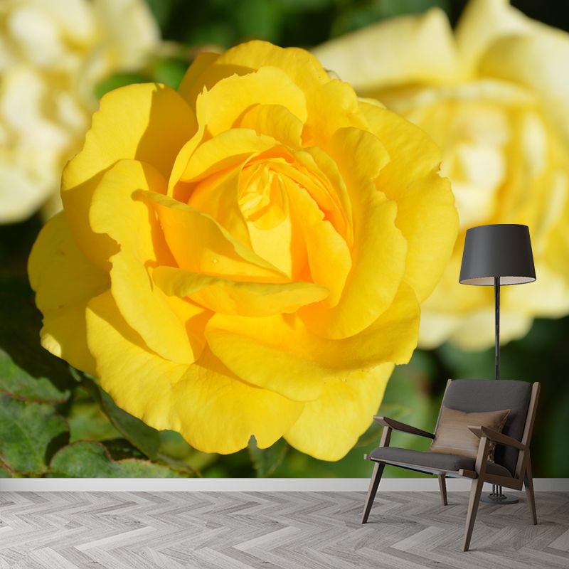 Customized Rose Wall Mural Environment Friendly Wallpaper for Guest Room Decoration