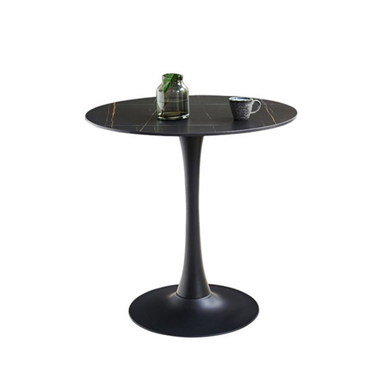 Modern Tulip Pedestal Dining Table Stone Table for Dining Room