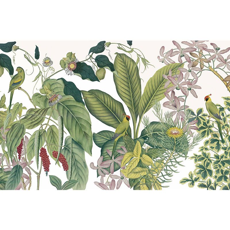 Whole Nordic Wall Mural Decal in Pastel Green Banana Leaves and Blossoms Wall Decor, Made to Measure