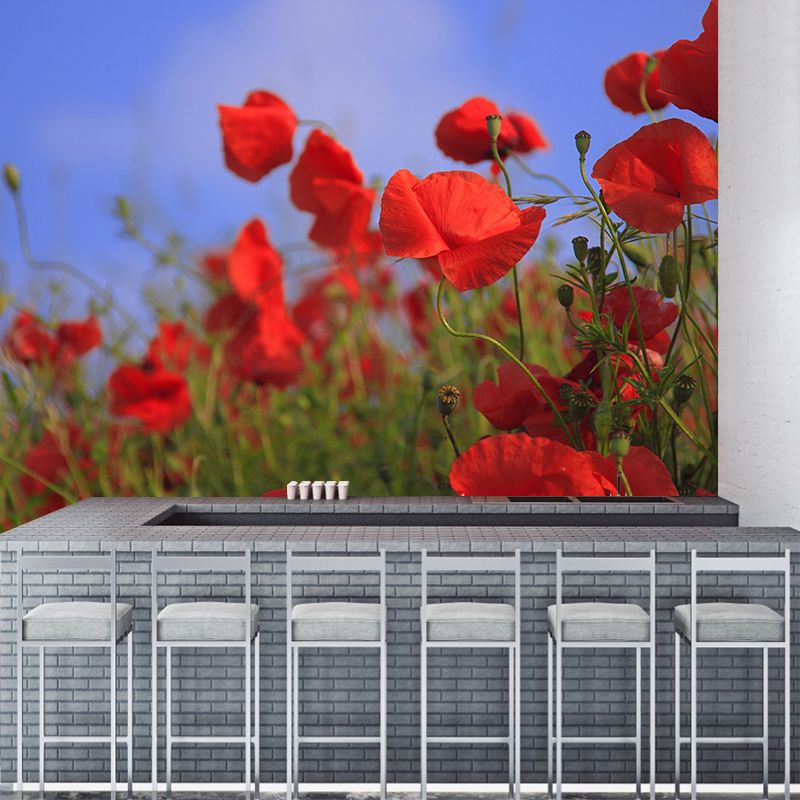 Poppies Flowe Mural Decal Contemporary Wallpaper Eco-friendly Wall Decor for Bedroom