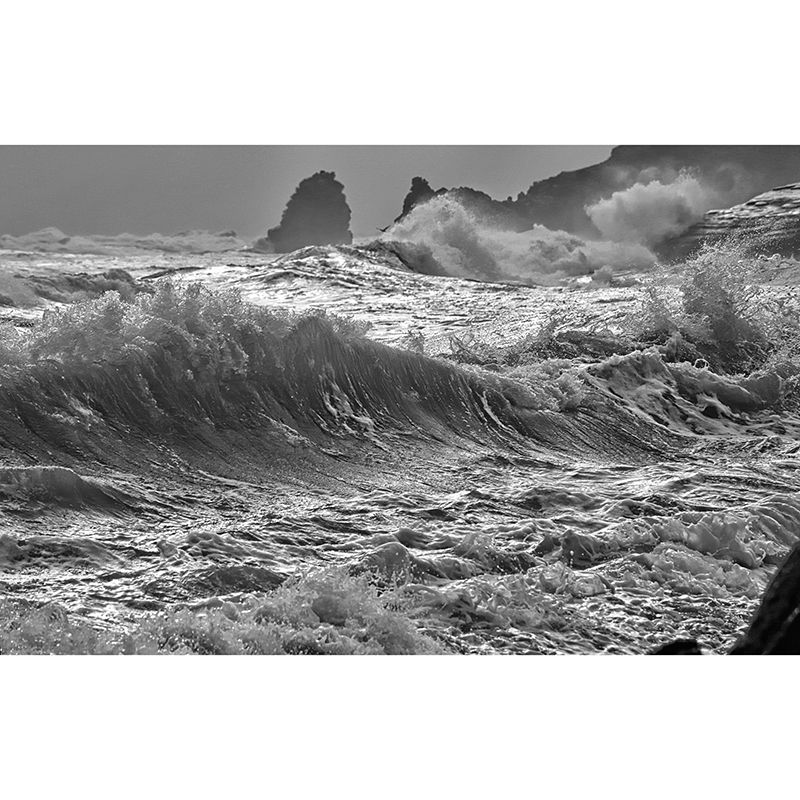 Customized Sea Mural Wall Covering Decorative Mildew Resistant for Room