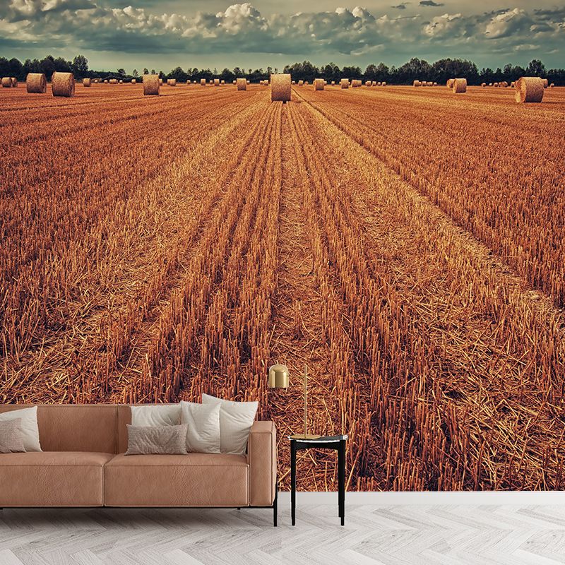Contemporary Photo Wheat Field Mural Soft Color Stain Resistant Wall Art for Dining Room