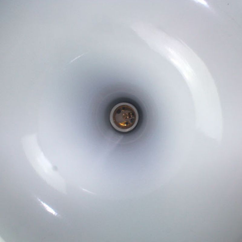 Single-Light Metal Frame Plant Pendant Light for Dinning Room Bedroom Hanging Lamp (Without Plants)