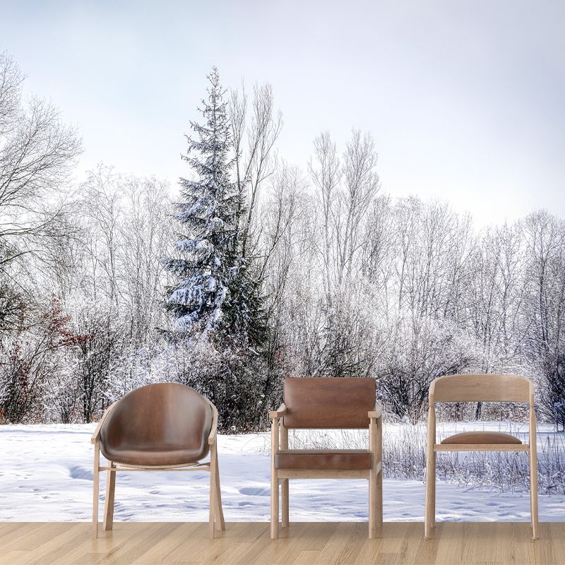 Contemporary Photography Style Forest Mural Wallpaper Mildew Resistant Wall Covering