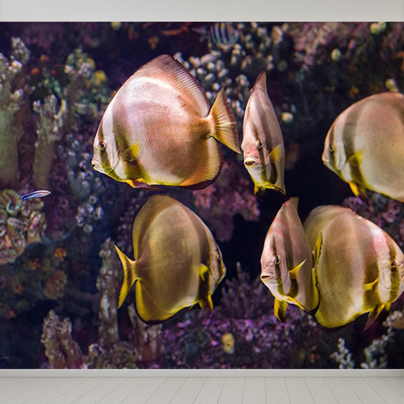 Vivid Fish Seabed Wall Mural Modern Style Mildew Resistant for Sleeping Room