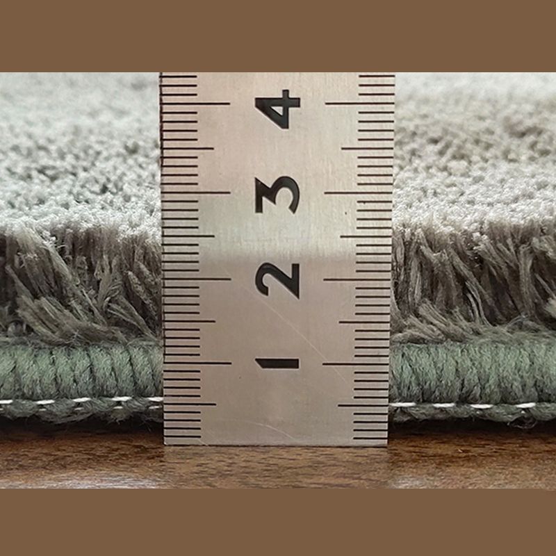 Light Color Simplicity Area Rug Polyester Solid Rug Non-Slip Backing Indoor Rug for Living Room