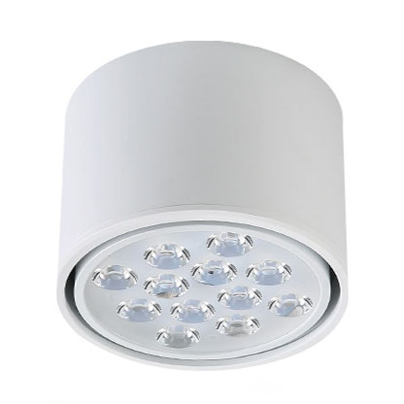 Cylindrical Shape Ceiling Lamp Modern Simple Style Aluminium 1 Light Flush Mount for Aisle