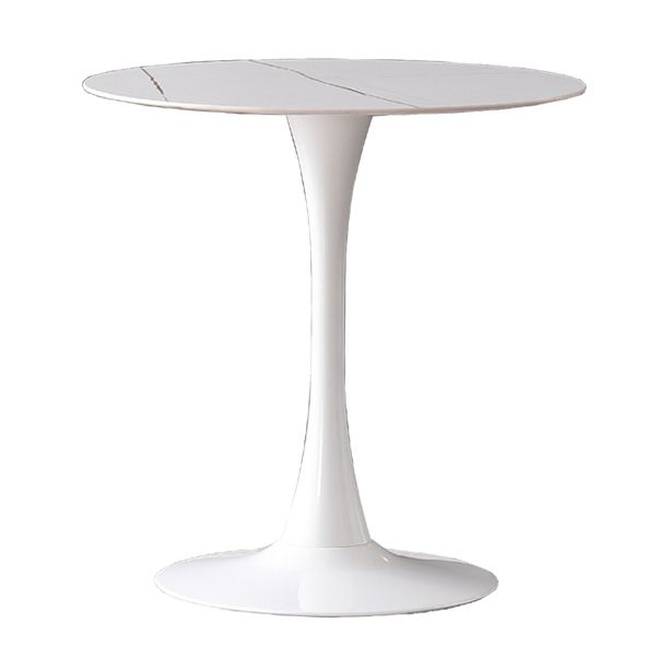 Modern Round Dining Set Stone 1/2/5 Pieces Dining Furniture in Matte Finish for Indoor