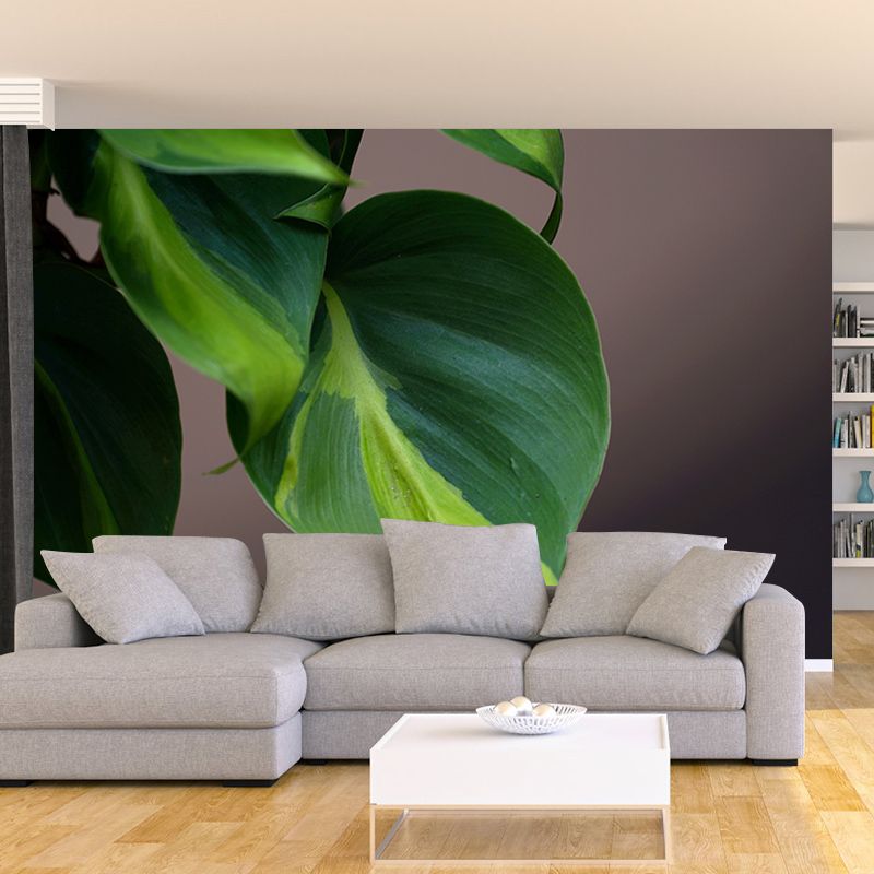 Plants Modern Stain Resistant Wall Decor for Living Room Bedroom, Made to Measure