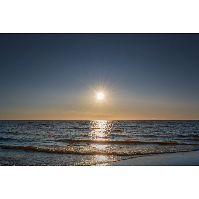 Sea Mural Wallpaper Contemporary Wall Covering for Dining Room, Waterproofing