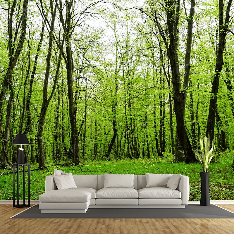Forest Wall Mural for Sitting Room Bedroom Home Decor, Made to Measure