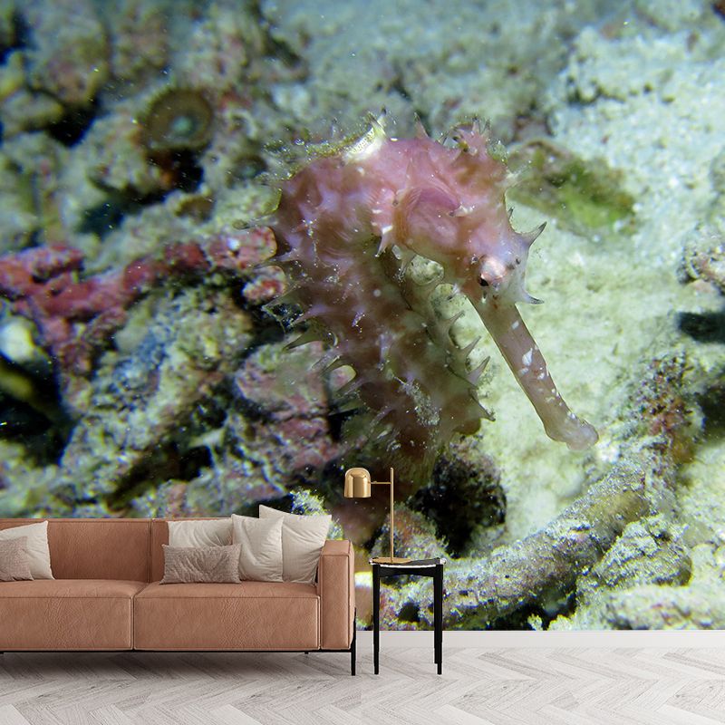 Photography Environment Friendly Undersea Wallpaper Drawing Room Wallpaper