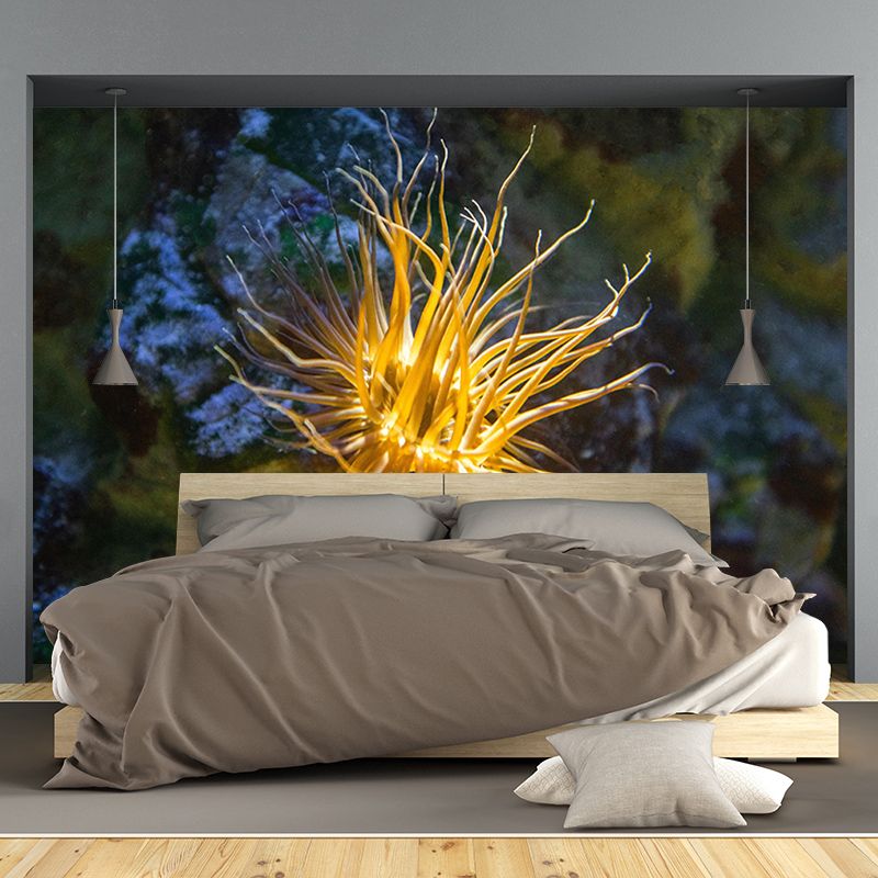 Customized Horizontal Photography Seabed Mural Eco-friendly Wallpaper for Home Decor