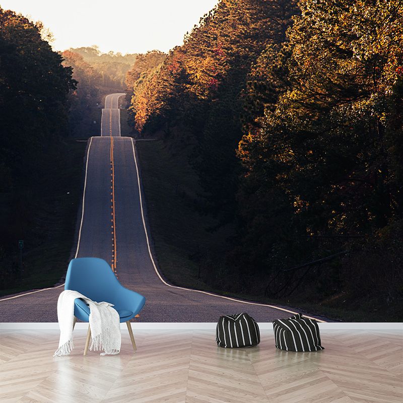 Modern Style Wall Mural Wallpaper Outdoor Path Living Room Wall Mural