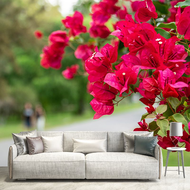 Minimalism Style Bougainvillea Wall Mural Decorative Photography for Living Room
