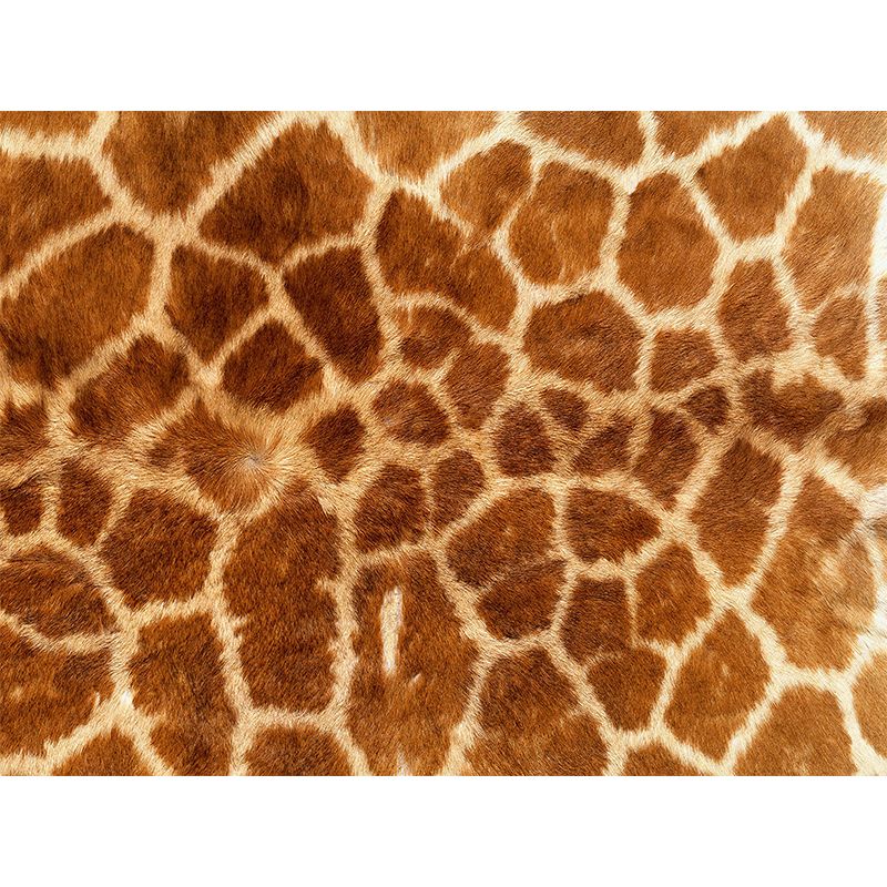 Whole Faux Animal Fur Mural Wallpaper Moisture Resistant Modern Living Room Wall Art