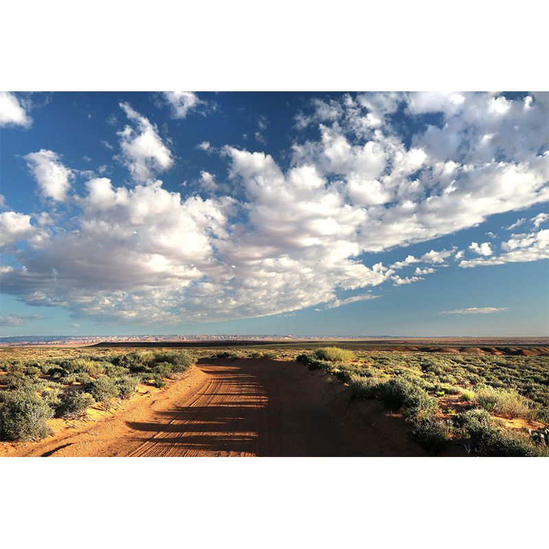 Vivid Nature Style Sky Wall Mural Wallpaper Photography Mildew Resistant for Home