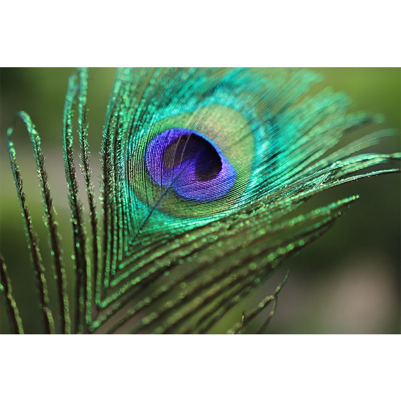 Tropical Style Peacock Feather Mural Decal for Living Room, Custom Size