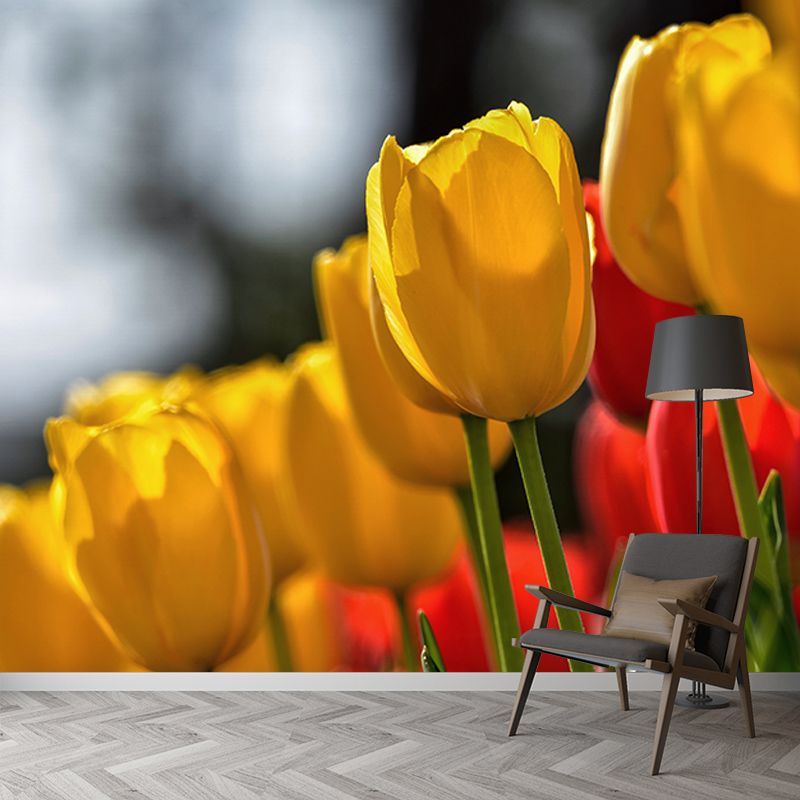Tulip Flower Mural Wallpaper Minimalist Wall Decor, Customized Size Available