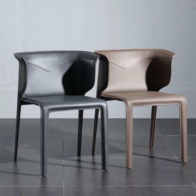 Metal Contemporary Indoor Chair with Leather Legs Matte Finish Side Chair for Dining Room