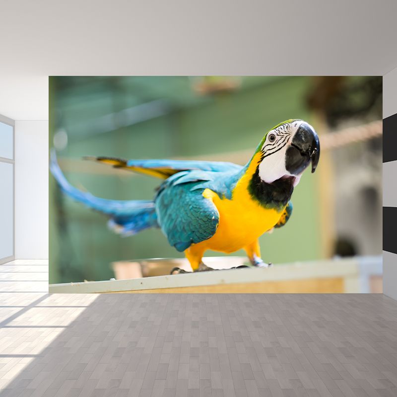 Tropical Animal Parrot Wall Mural Decal Indoor Room Decoration Wall Decor for Exhibition Hall