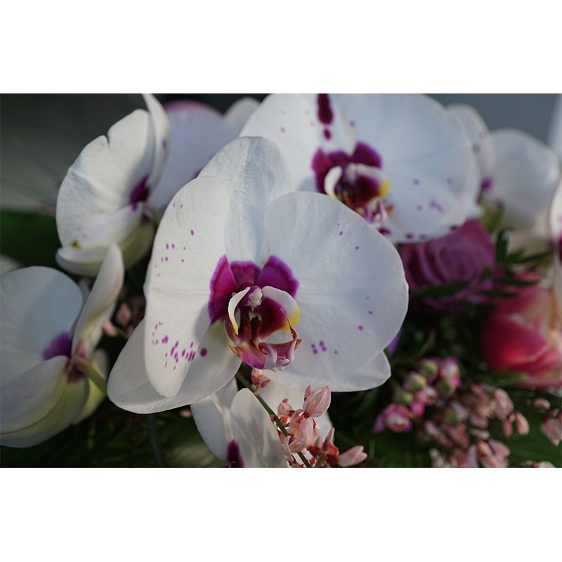 Orchid Flower Wall Covering for Sleeping Room Home Decor, Made to Measure