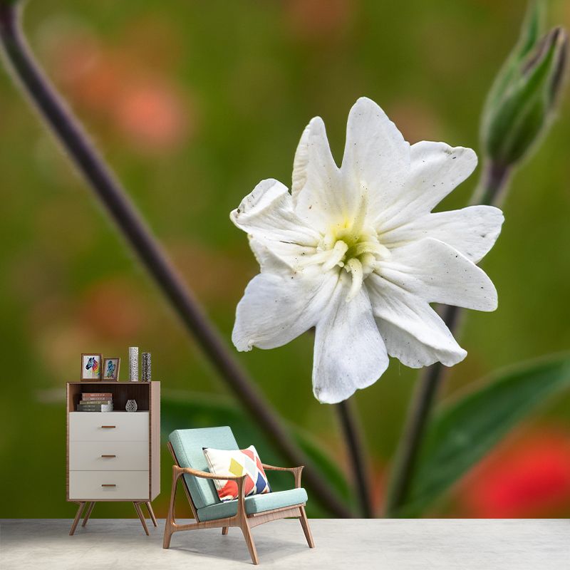 Carnation Blooming Mural Contemporary Photography for Living Room Decoration