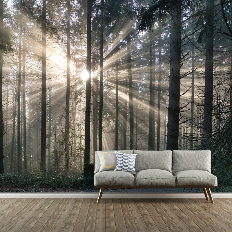 Forest Landscapes Mural Contemporary Mildew Resistant Wall Covering for Bathroom