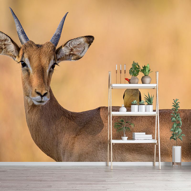 Antelope Mural Wallpaper Moisture Resistant Wall Covering for Home Decor