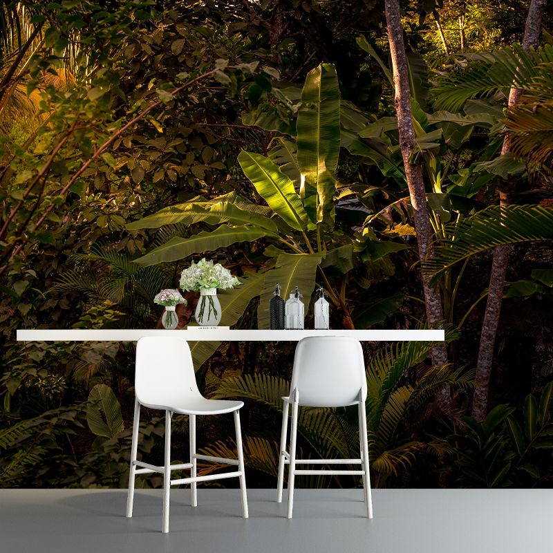 Modern Style Photography Wall Mural Wallpaper Forest Bedroom Wall Mural