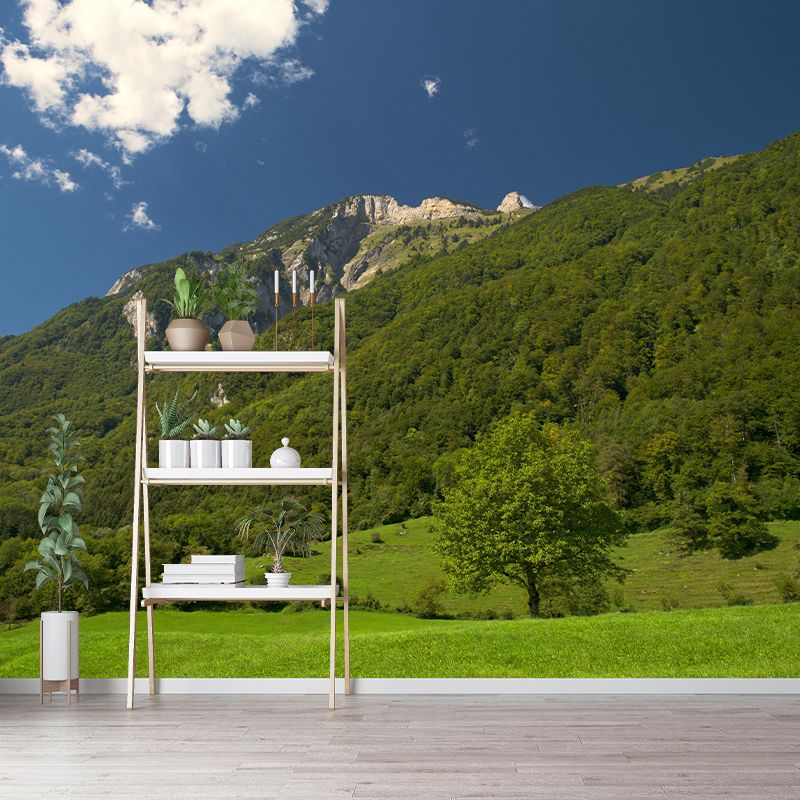 Mountain Scenery Wall Mural Modernism Style Wall Decoration for Study Room