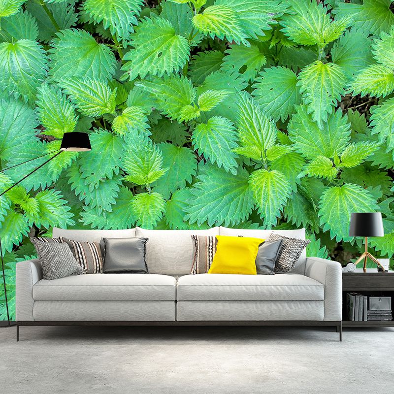 Customized Medicinal Plants Mural Wallpaper Nettle Painting Mildew Resistant